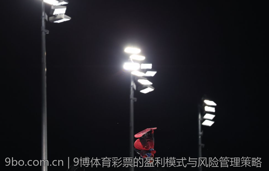 9博体育彩票的盈利模式与风险管理策略